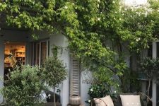 a small terrace design with gorgeous greenery