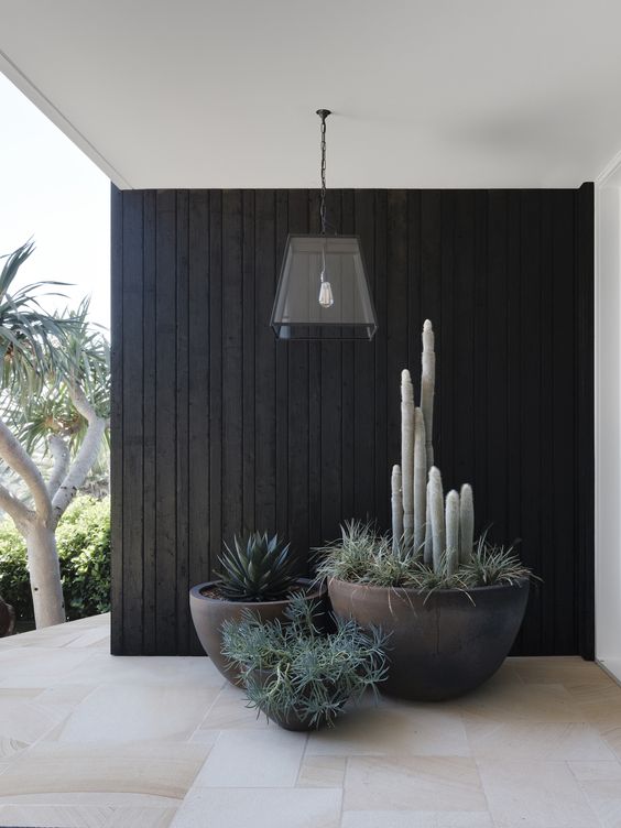 black tall bowl-like planters with various greenery will give a cool modern look to your front porch or backyard