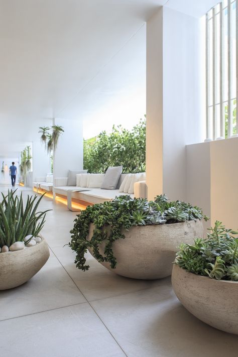oversized concrete bowl planters with pebbles and greenery plus succulents for an ultra-modern and bold look