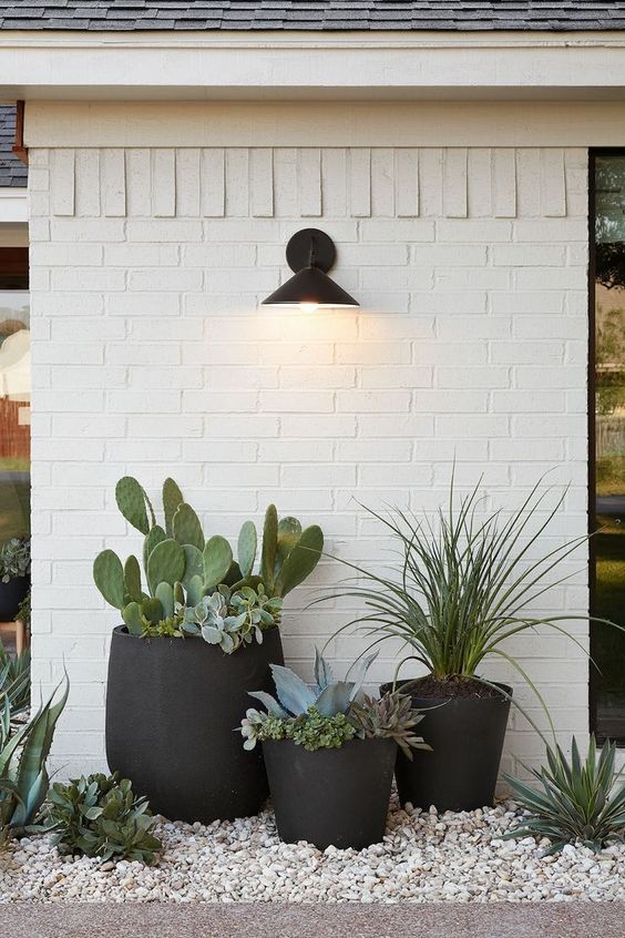 stylish black planters of mug and traditional shapes but oversized ones are catchy and very creative