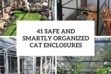 41 safe and smartly organized cat enclosures cover