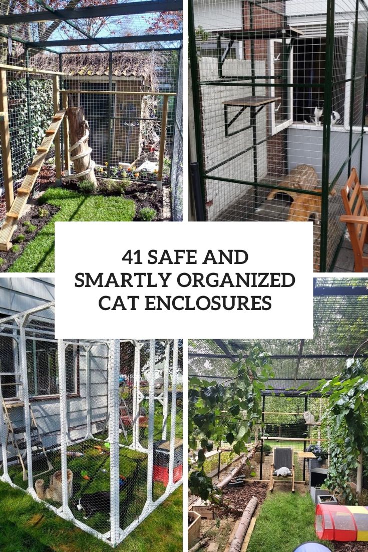 safe and smartly organized cat enclosures