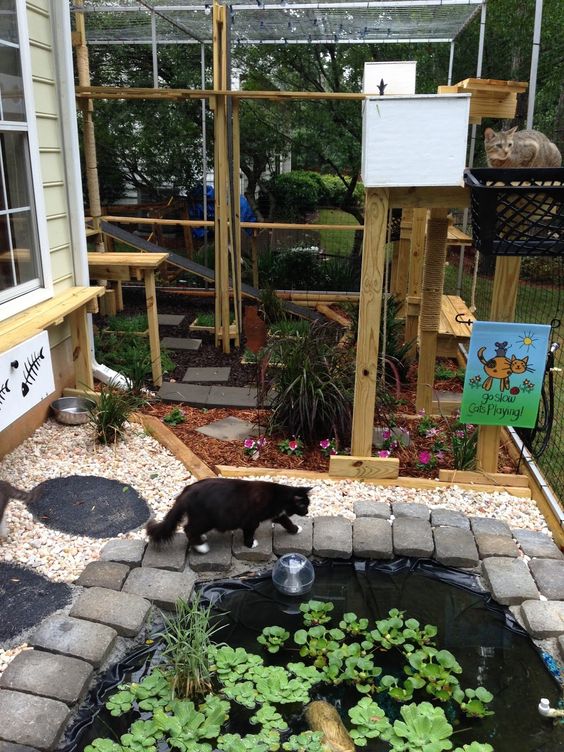 a bright and fun cat enclosure with cat trees, a pond, some greeneyr and blooms and cat bowls