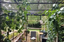 a large and natural catio with green lawn, some non-toxic plants, branches, a comfy chair and cat trees and beds
