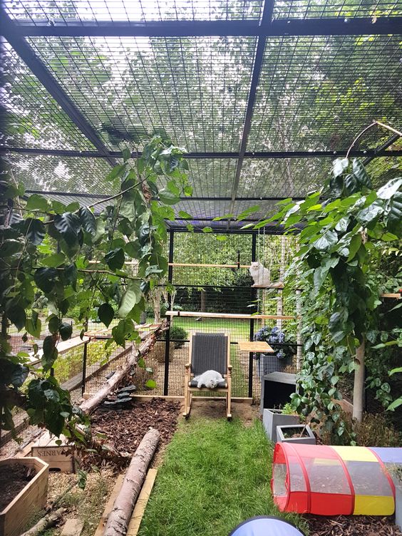 A large and natural catio with green lawn, some non toxic plants, branches, a comfy chair and cat trees and beds
