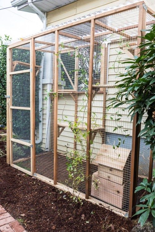 a natural cat enclosure with shelves at various levels and a small house is a very welcoming unit