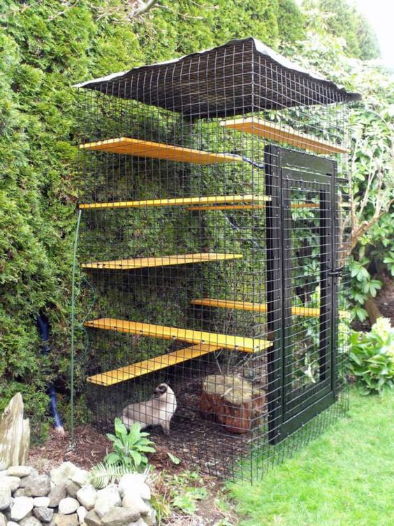 a natural catio with a living wall, some shelves and a tree stump for spending some time outdoors