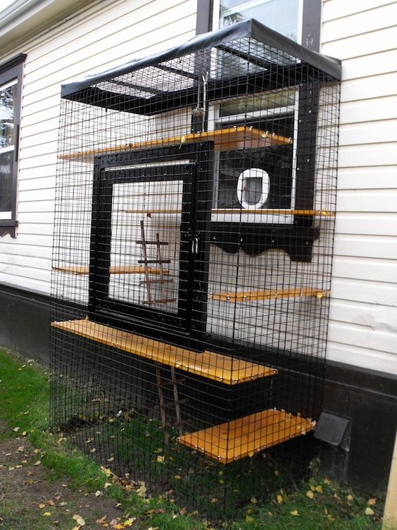 a simple cat patio with shelves at various levels and a ladder is attached to the wall