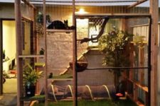 a simple yet cool cat patio with a green lawn, some potted plants, shelves, cat trees and a cat tunnel