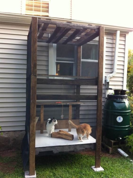 a tiny cat patio with cat beds and a tree branch plus some toys can be attached to the wall of your home