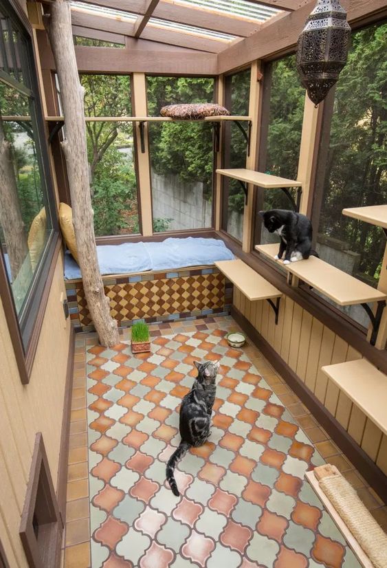 large cat and human enclosure with a daybed, some shelves and cat beds, a tree, some bowls and herbs