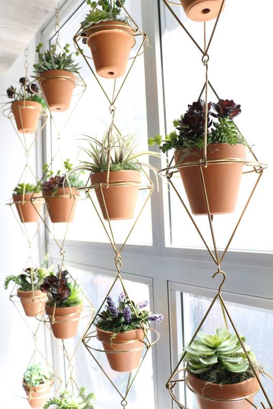 a creative window solution with many succulents in pots and in a gold wire structure is a cool idea