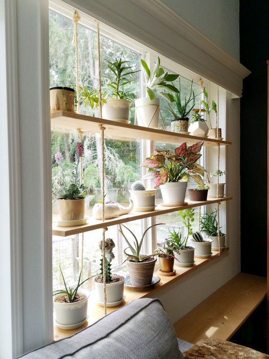 a hanging shelf with lots of plants in pots of various kinds is a cool natural decoration for a window for privacy and not only