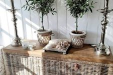 a rustic space with a wicker credenza, vintage lamps with wicker lampshades and potted plants plus a tray with seashells