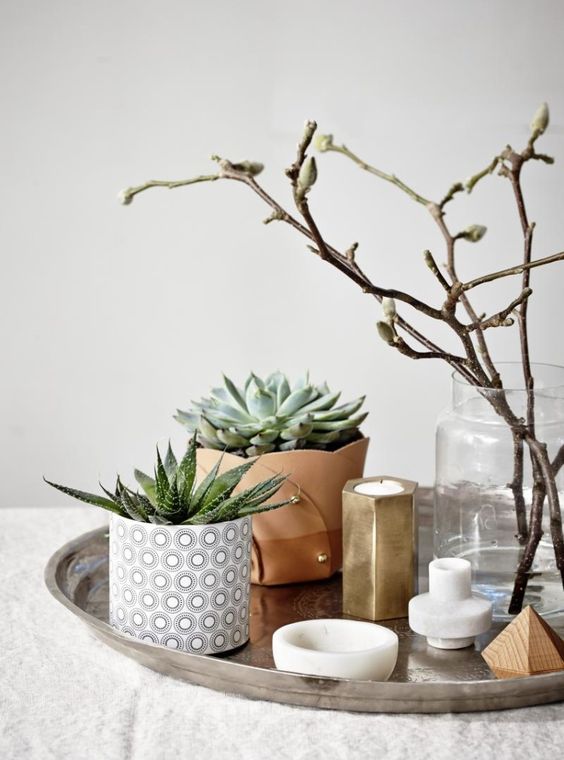 a stylish Scandinavian combo of a tray with potted succulents, candles and a glass with blooming branches