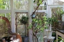 an old glass house with lots of potted plants and greenery, a wicker chair with a white cushion, a watering can and lots of natural light