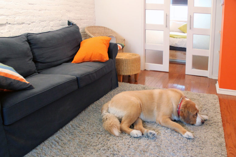 dark sofa works well in a bright orange basement living room (Laura Garner)