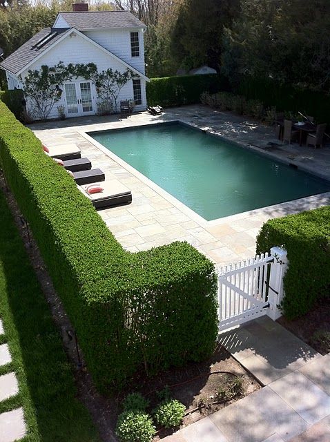 02 hedge pool fence  for natural privacy