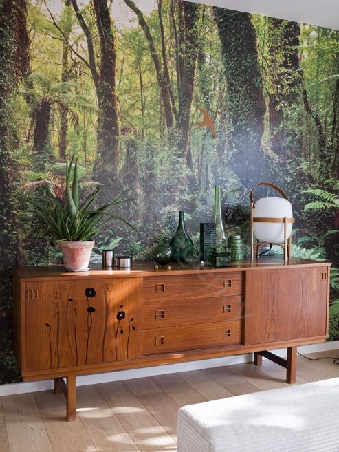 forest wall murals help you to merge with nature and relax without leaving home