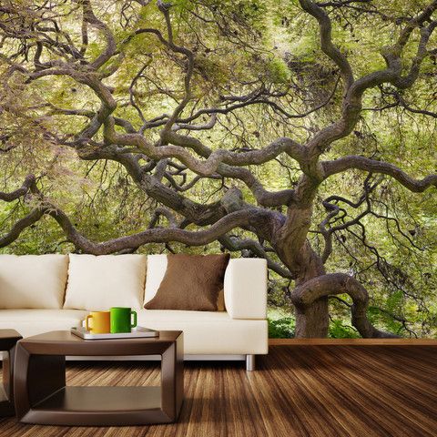 Japanese maple wall mural fills your home with a natural vibe
