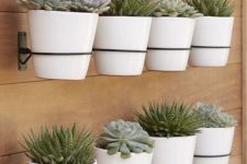 33 create a whole succulent garden attaching planters to the wall