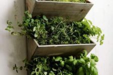 36 indoor herb garden with several sections