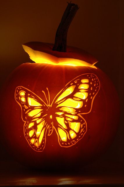 chic butterfly pumpkin for girlish decor