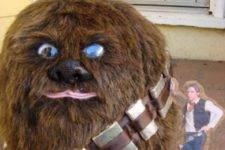 07 Chewbacca pumpkin made using fur and faux eyes and a nose
