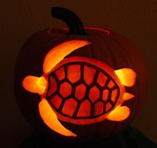 sea turtle pumpkin carving for seaside-inspired fall decor