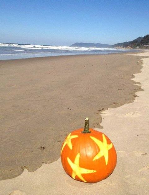 star fish carvings on a pumpkin to highlight your beachside location