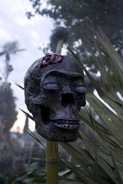 very scary and realistic zombie skulls for tropics
