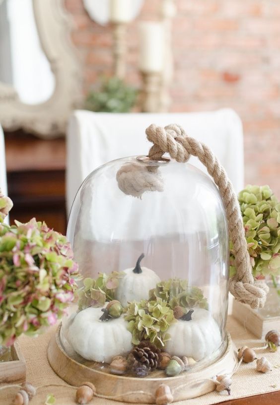simple display with pumpkins, hydrangeas, acorns and pinecones in a cloche