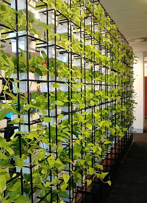 vertical garden space divider adds a fresh touch and is a unique solution
