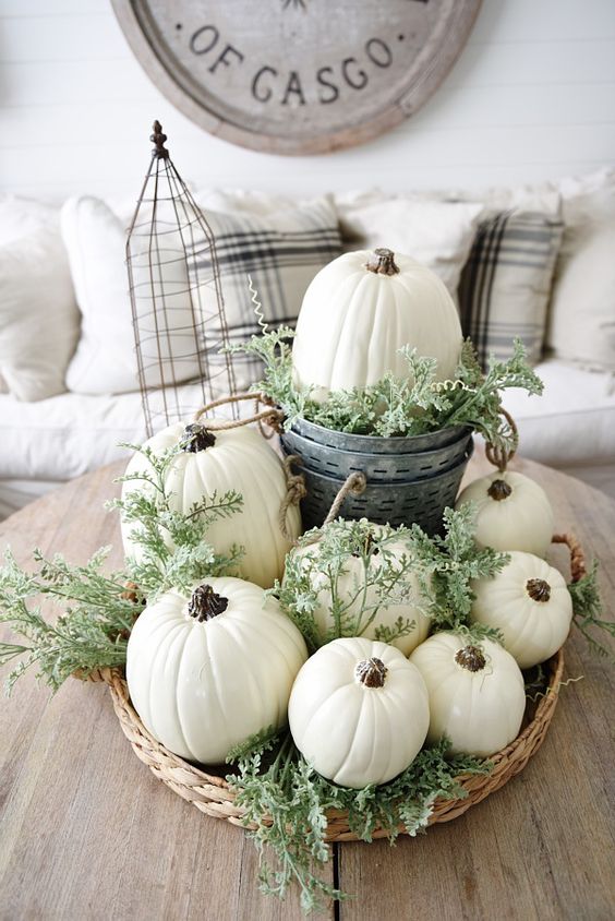 white pumpkins, greenery in a basket and buckets on your coffee table