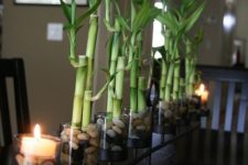 22 bamboo stand with rocks and a floating candle on the side