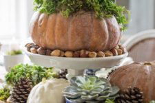 23 fresh pumpkin into a rustic planter for assorted succulents surrounded by other fall elements