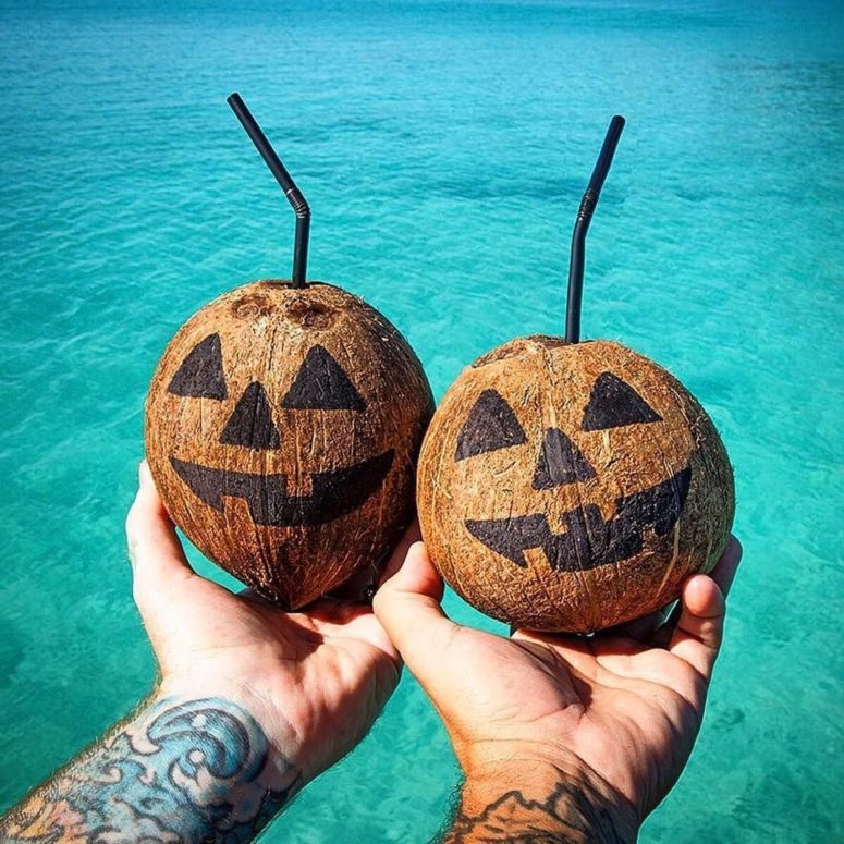 coconuts could be used as a nice alternative to pumpkins