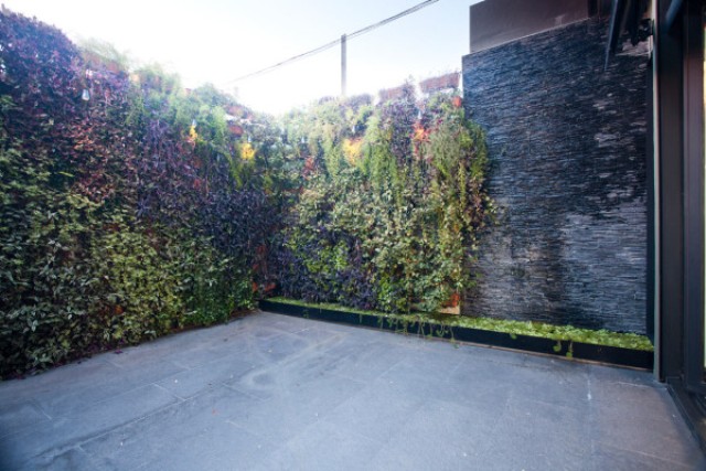 The terrace has tall walls to keep some privacy, and the walls are covered with moss and greenery