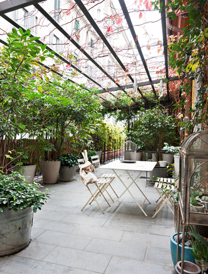 The patio is like a small piece of jungle with palm trees and unusual flowers