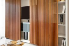 22 bamboo screens for hiding a TV unit