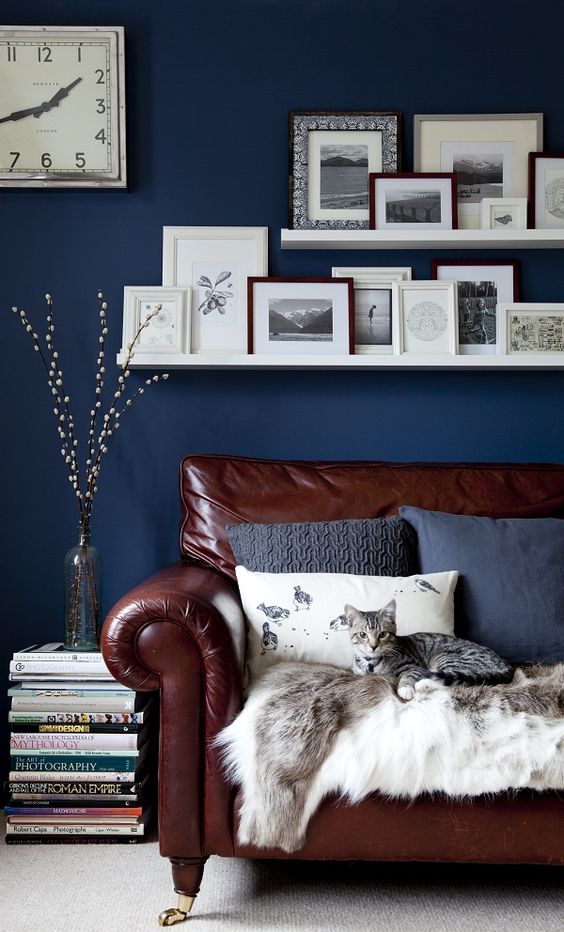 rich brown leather sofa in front of a navy accent wall