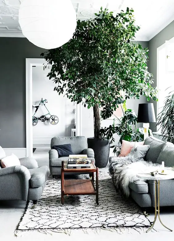 A Scandinavian living room with grey walls, grey seating furniture, a dark stained coffee table and some potted plants