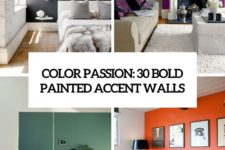 color passion 30 bold painted accent walls cover
