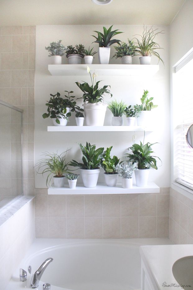 In a bathroom IKEA's floating shelves could b used to create a plant wall.