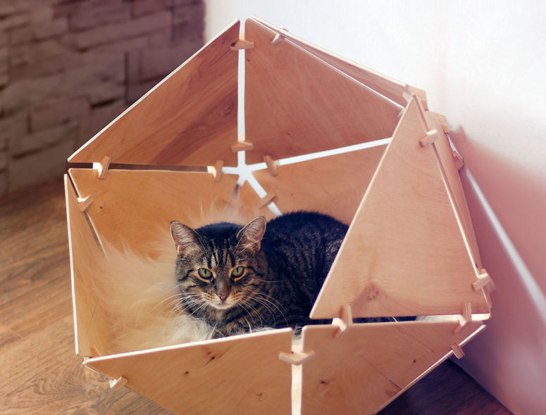 Most of cats prefer having some personal space and they deserve the best - something like this trendy cat bed