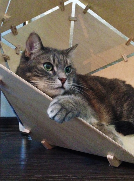 Let your cat feel comfortable in its new stylish bed