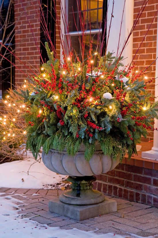 oversized urn with evergreens, faux berries and red branches is glowing up thanks to the lights
