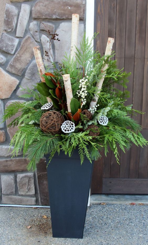 a holiday container with evergreens, branches, lotus