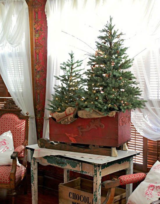 a tree duo placed in an antique sleigh is a lovely idea for a rustic space, it inspires and brings a rustic feel to the space
