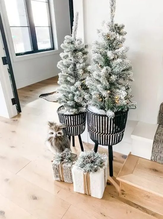 Winter wonderland Christmas decor   potted flocked trees with lights, gift boxes with pinecones and a faux owl is amazing